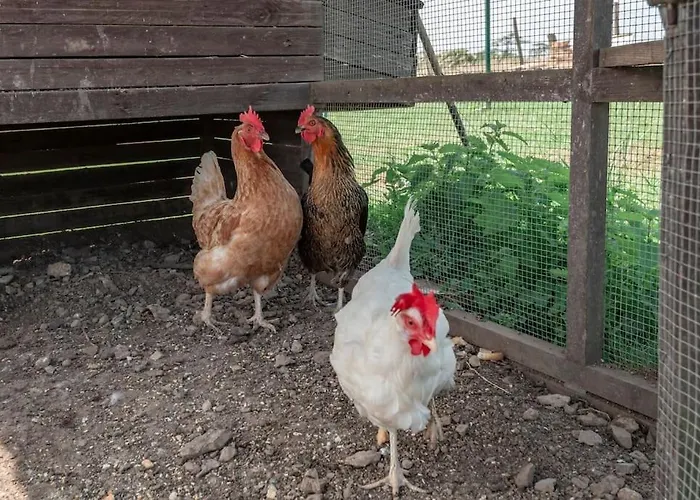 Les 4 Bras Maison De Dom wakacyjny